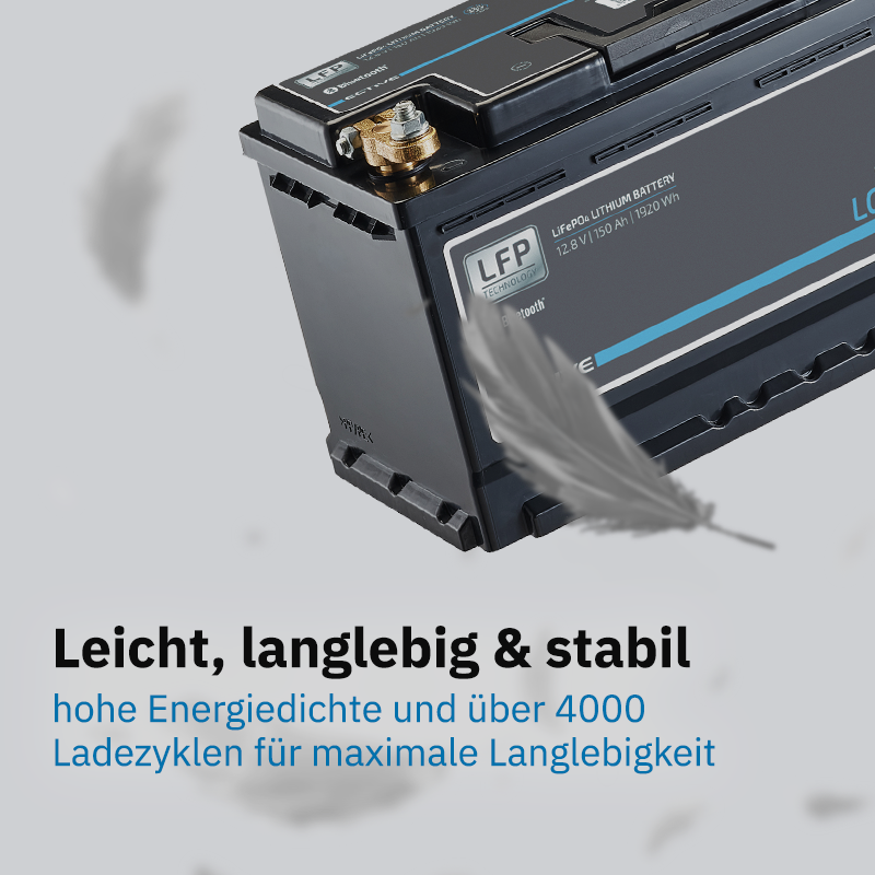ECTIVE LC 100 LT 12V LiFePO4 Versorgungsbatterie 100 Ah