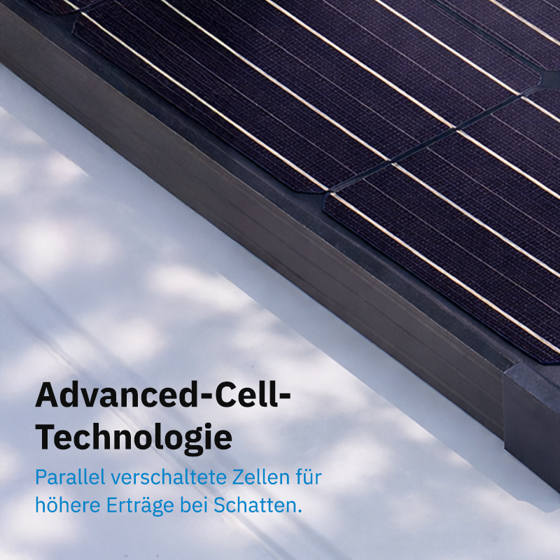 ECTIVE MSP 120s Black Monokristallines Solarmodul 120W