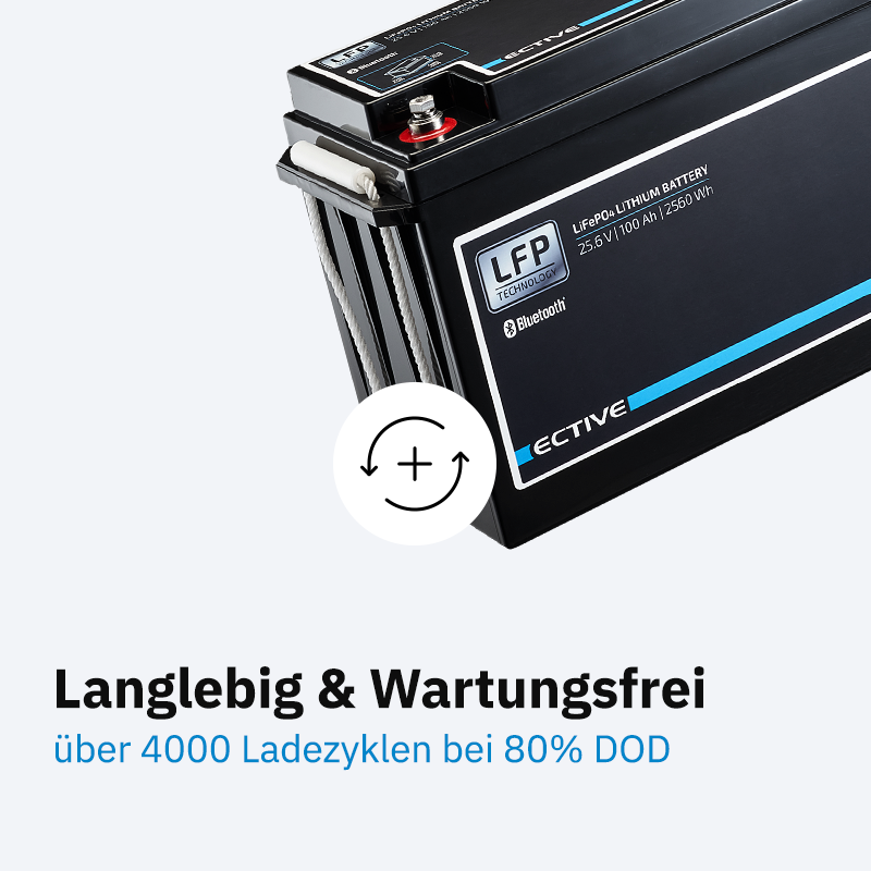 ECTIVE LC 100L BT 24V LiFePO4 Versorgungsbatterie 100 Ah