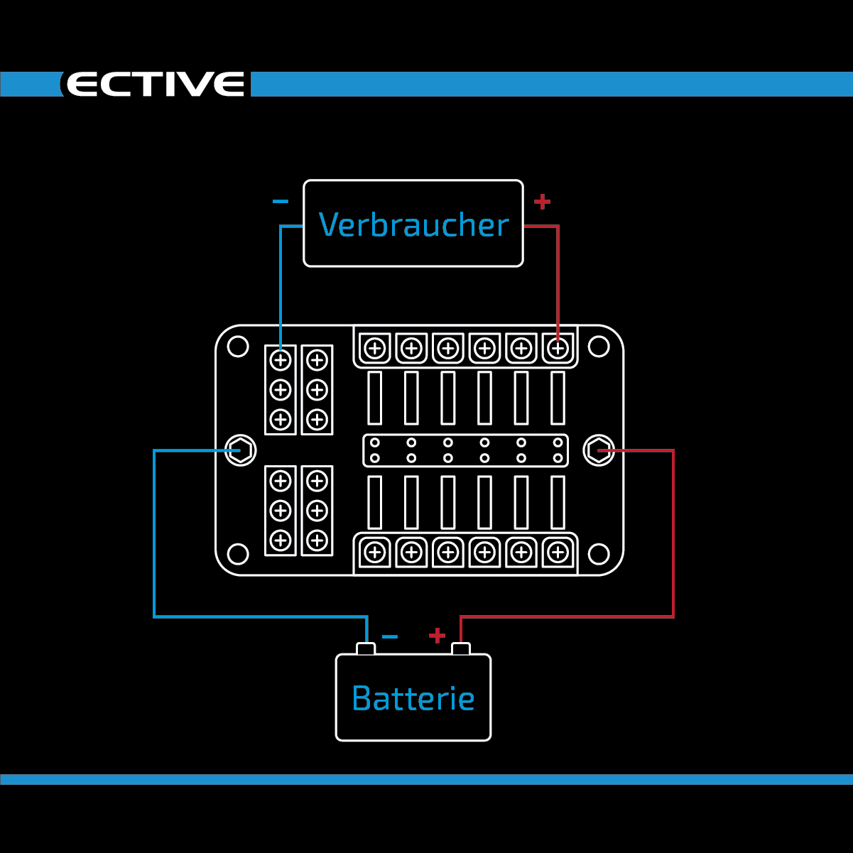 ECTIVE Flachsicherungshalter mit 12x Negativ-Schraubanschluss 30A/32V