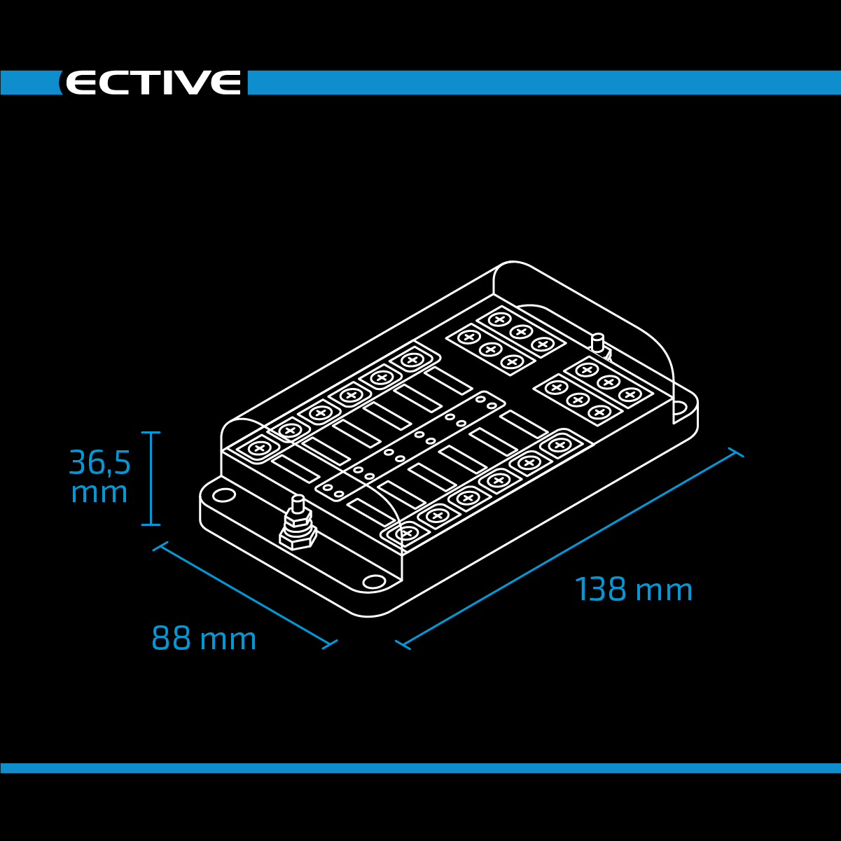 ECTIVE Flachsicherungshalter mit 12x Negativ-Schraubanschluss 30A/32V