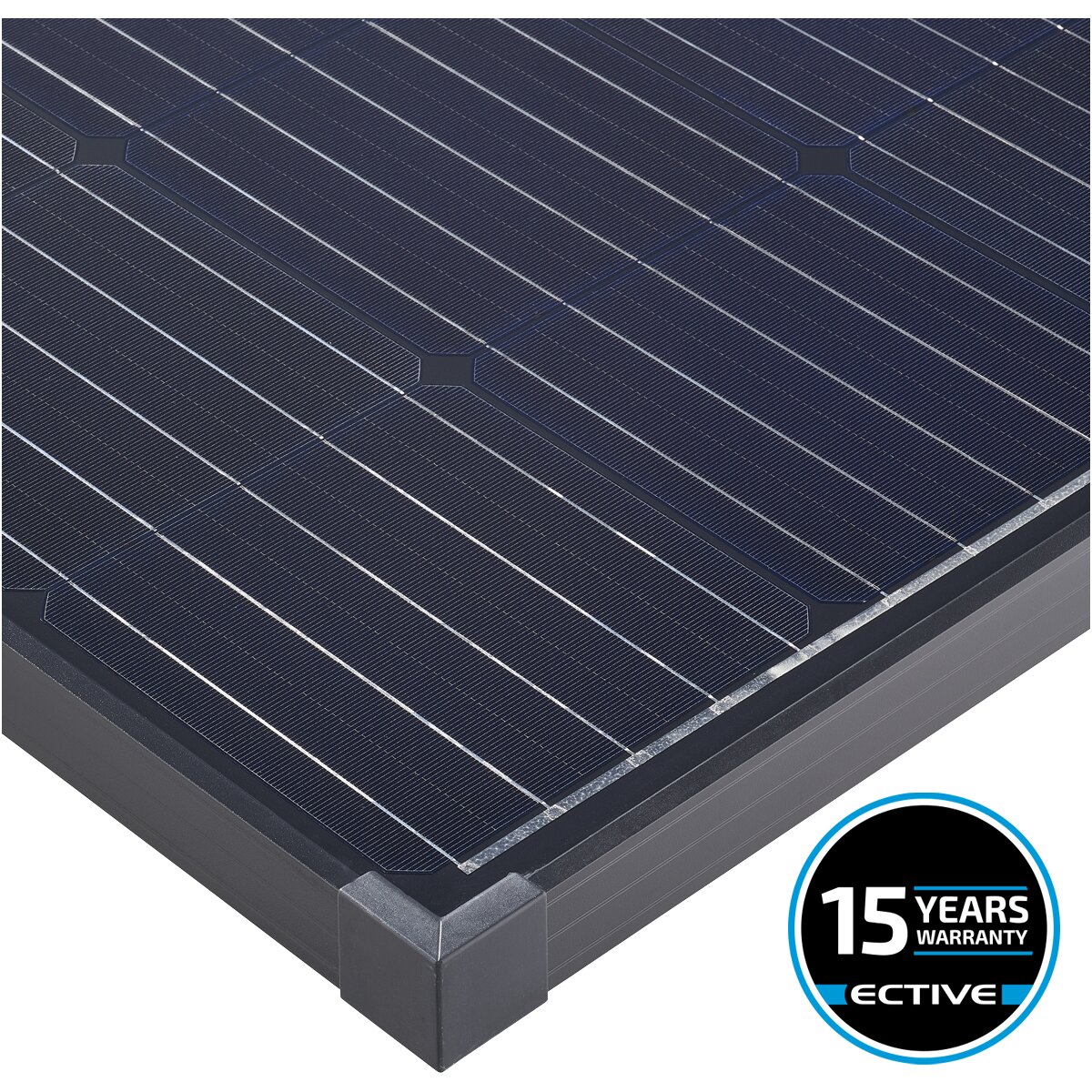 ECTIVE MSP 175 Black Monokristallines Solarmodul 175W