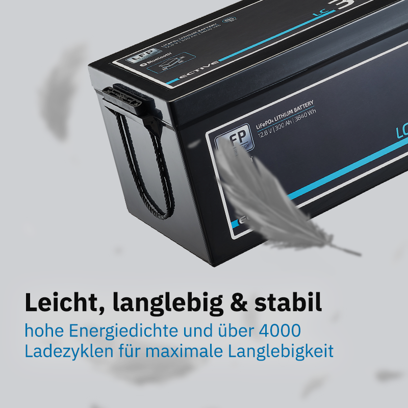 ECTIVE LC 300L LT 12V LiFePO4 Versorgungsbatterie 300 Ah